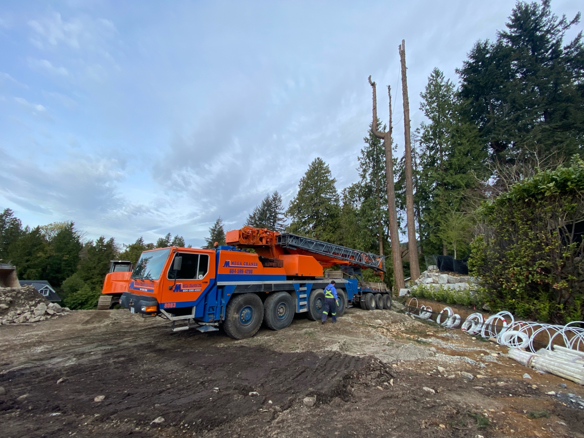 Tree removal and bylaw compliance in West Vancouver