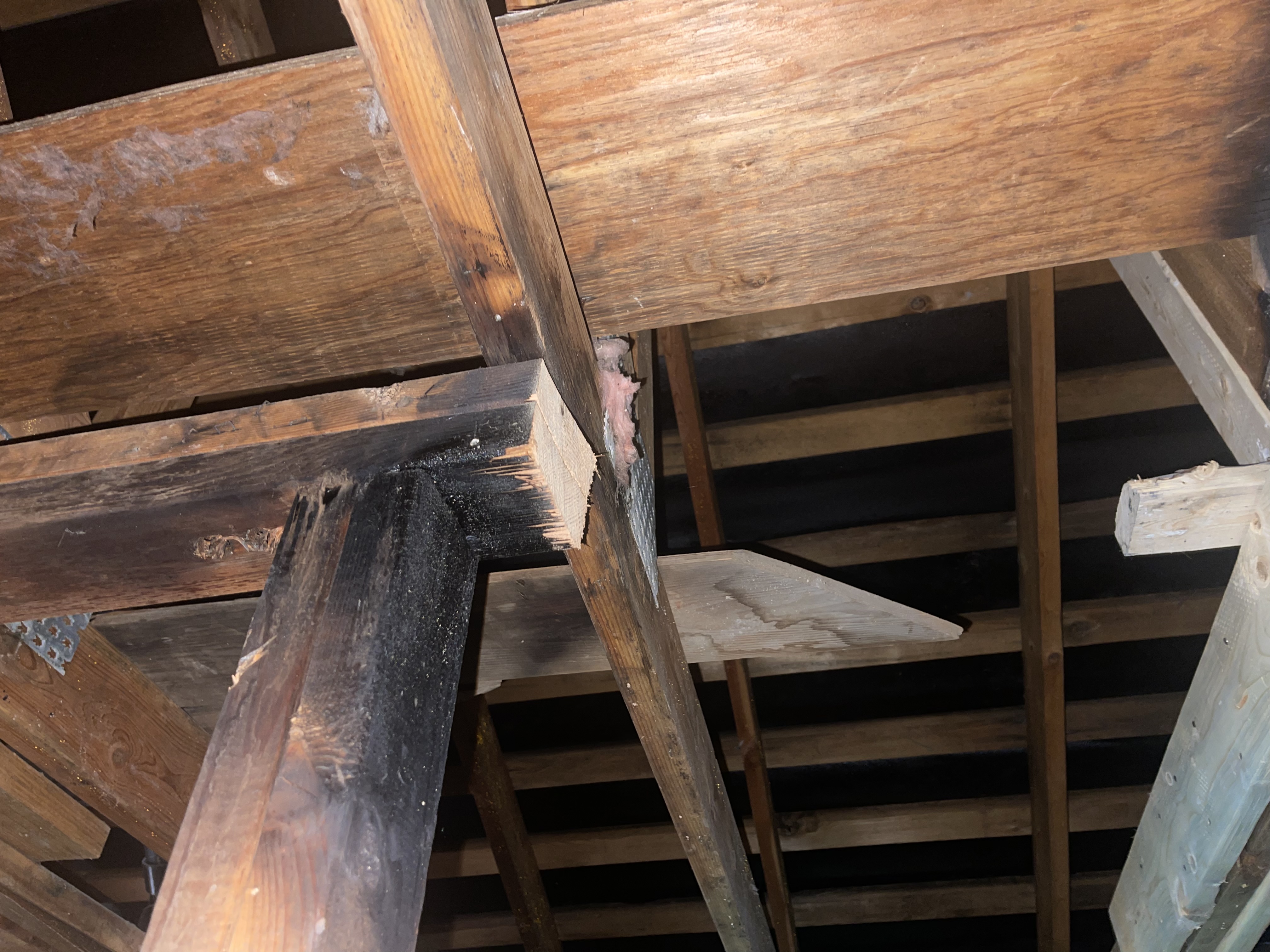 Fire-charred structural framing requiring replacement during insurance restoration