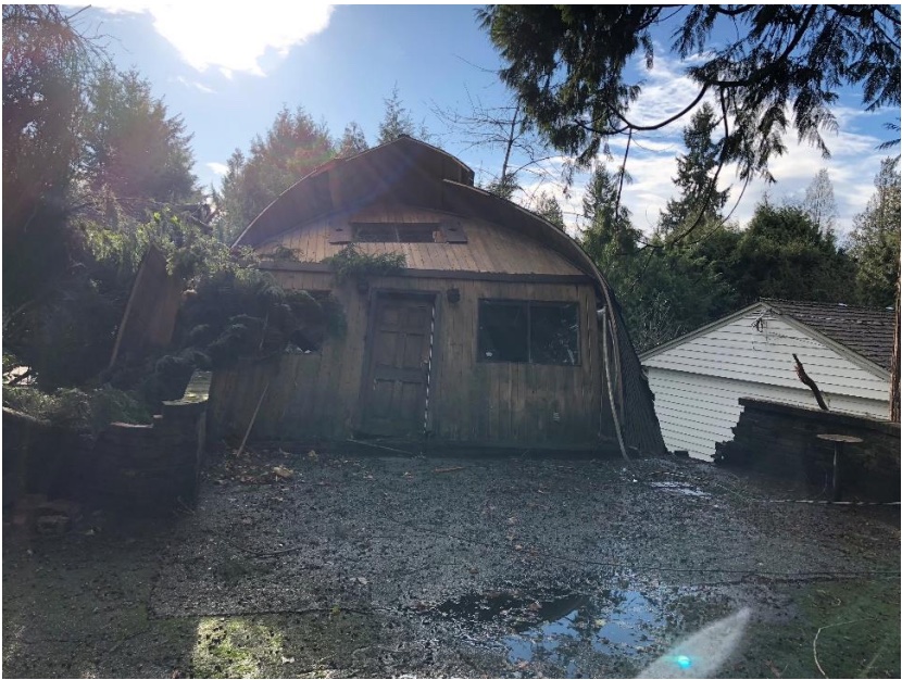 Fallen tree damage to home in West Vancouver — storm damage insurance guide